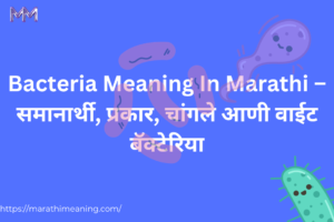 bacteria meaning in marathi blog feature image