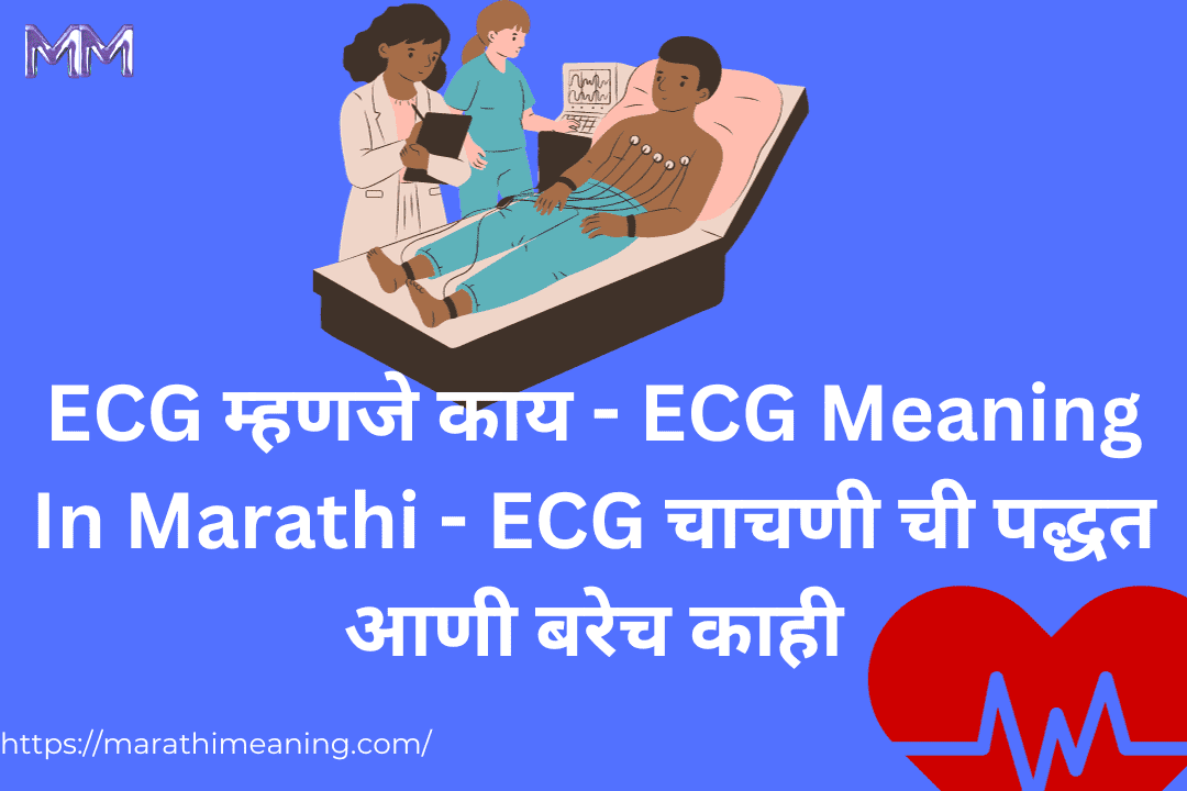 ecg-ecg-meaning-in-marathi-marathi-meaning