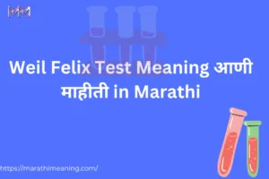 weil felix test meaning in marathi blog feature image